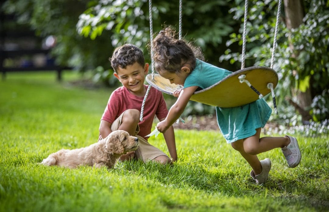 A boy and a girl playing outside with a swing and puppy