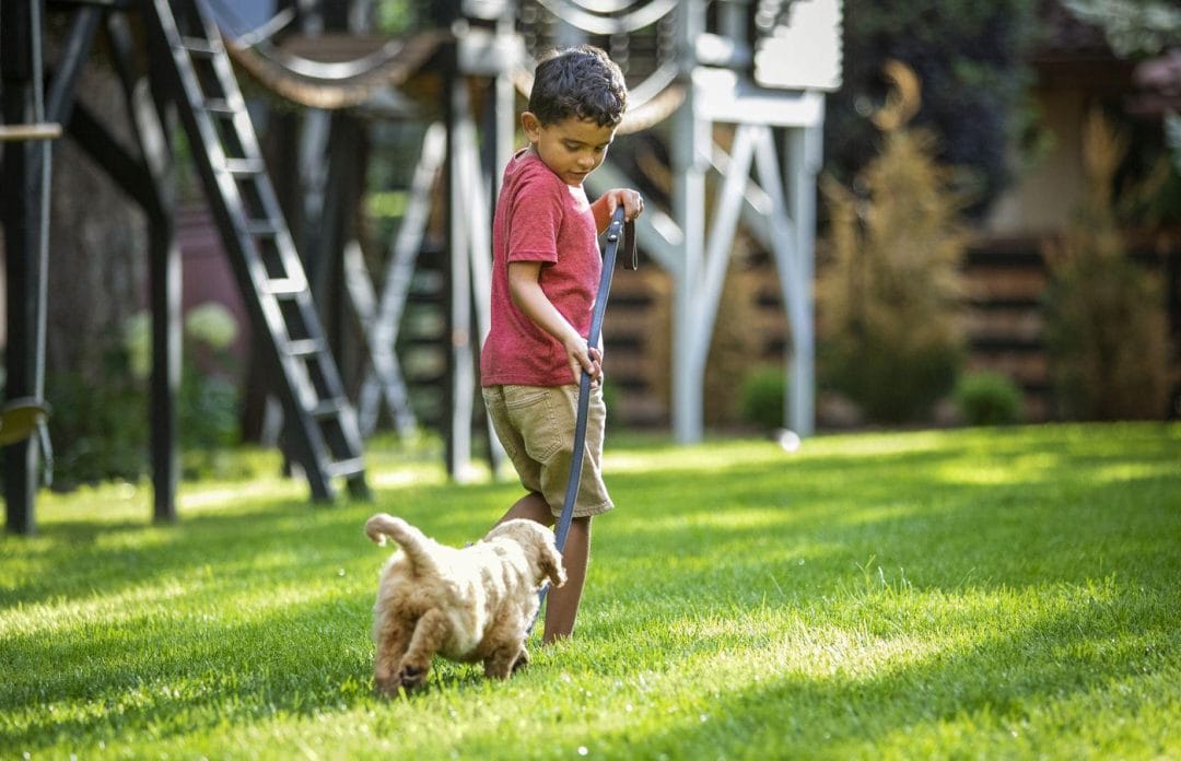 A boy walking his dog next to a backyard playground set